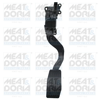 Accelerator Pedal Unit